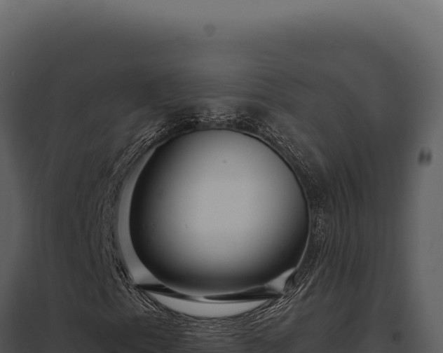 X0000097971153200804011714