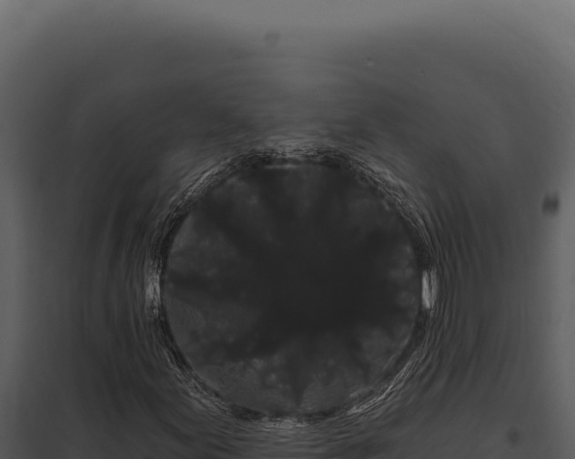 X0000097971155200804011714