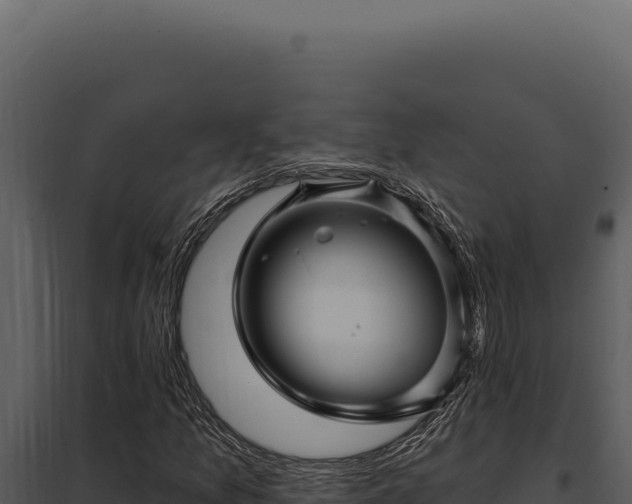 X0000097971157200804011714