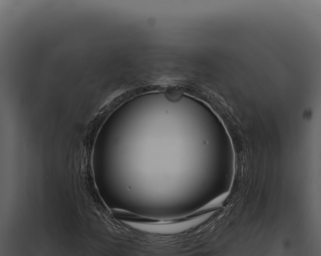 X0000097971158200804011714