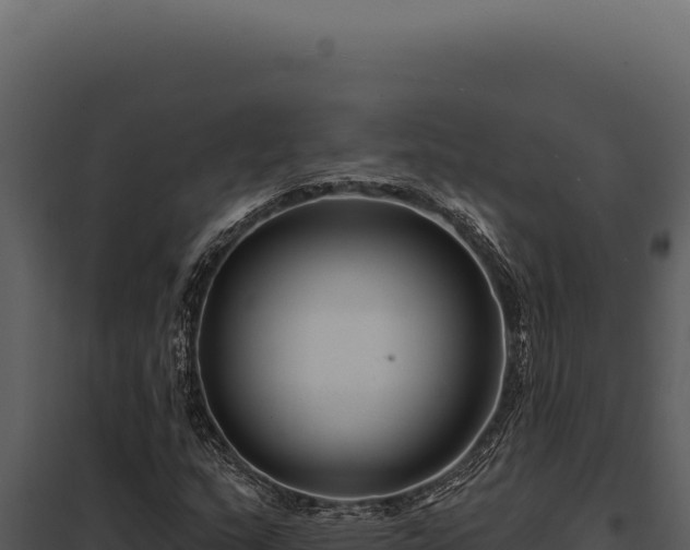 X0000097971159200804011714