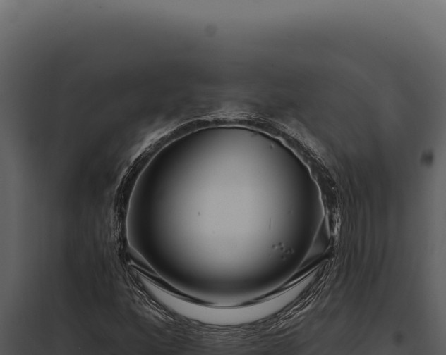 X0000097971160200804011714