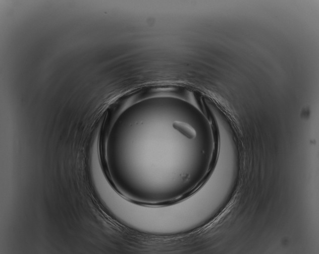 X0000097971161200804011714