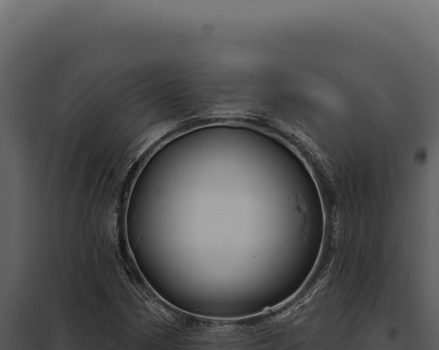 X0000097971162200804011714