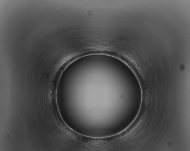 X0000097971163200804011714