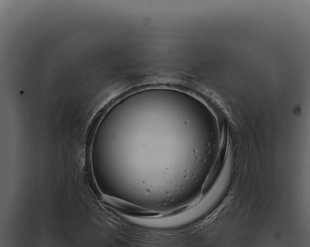 X0000097971165200804011714