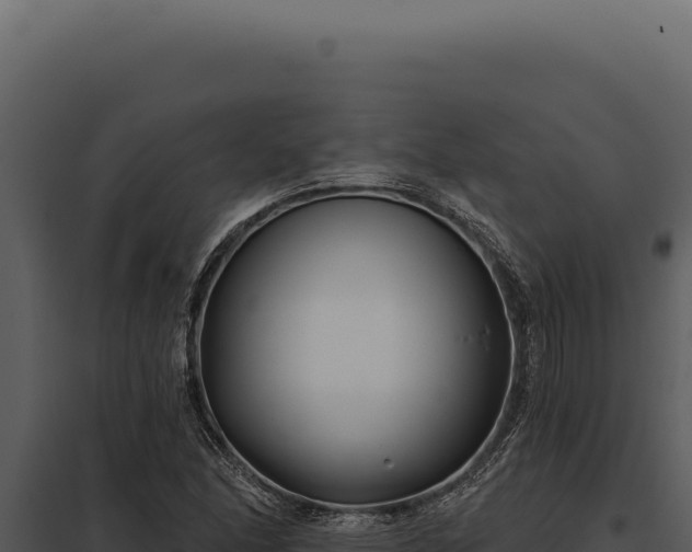 X0000097971166200804011714