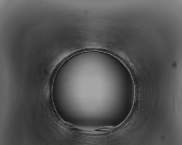 X0000097971167200804011714
