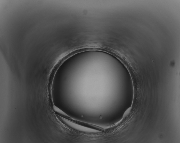 X0000097971168200804011714