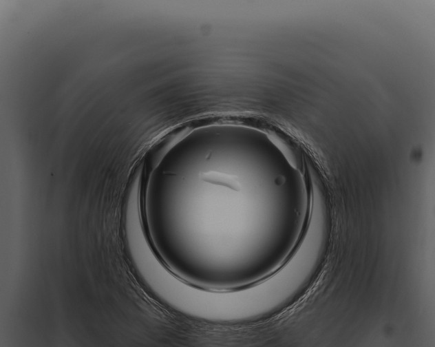 X0000097971169200804011714