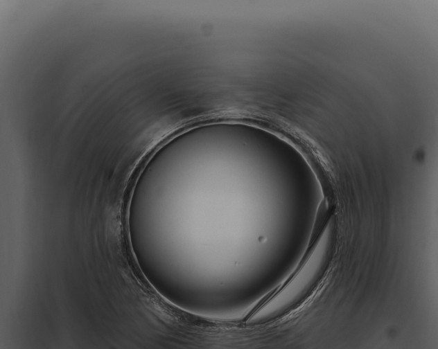X0000097971170200804011714