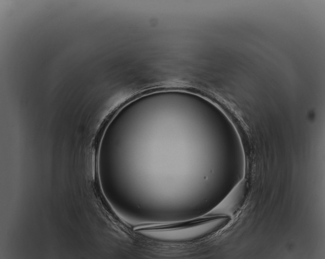 X0000097971171200804011713