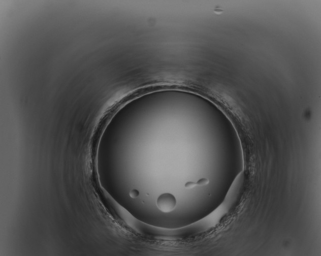 X0000097971172200804011713