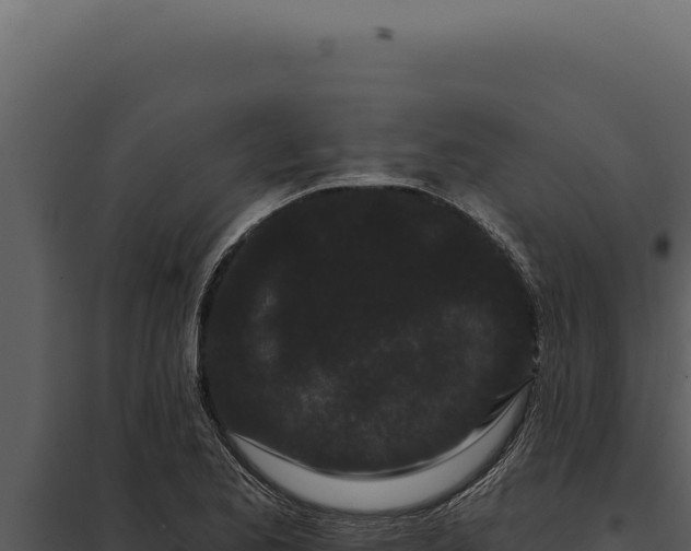 X0000097971173200804011713