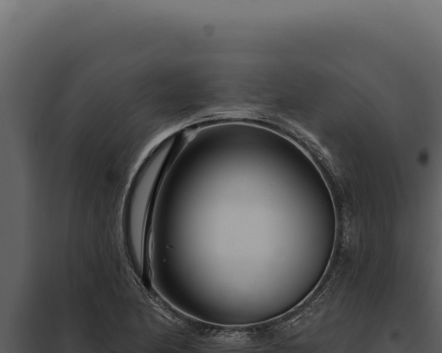 X0000097971174200804011713