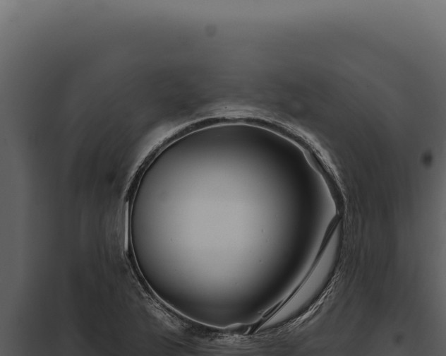 X0000097971175200804011713