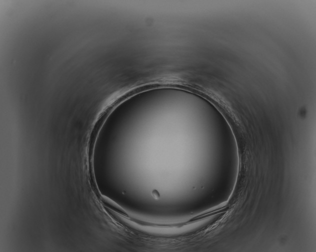 X0000097971176200804011713