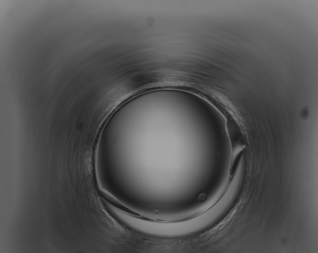 X0000097971177200804011713