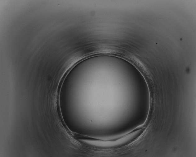 X0000097971178200804011713