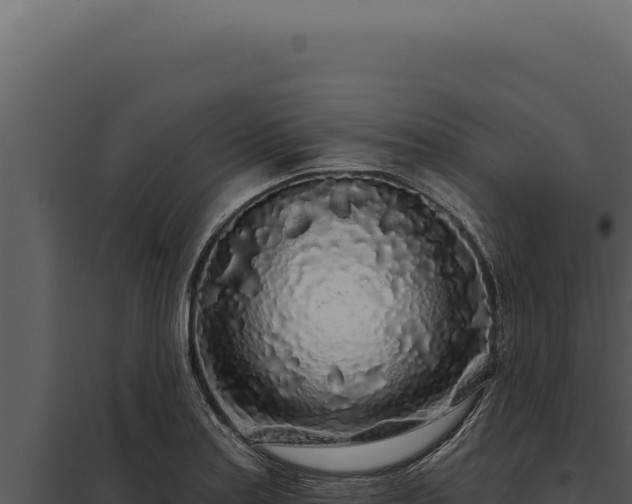 X0000097971179200804011713