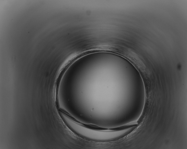 X0000097971180200804011713