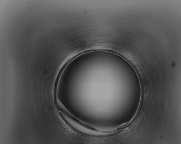 X0000097971181200804011713