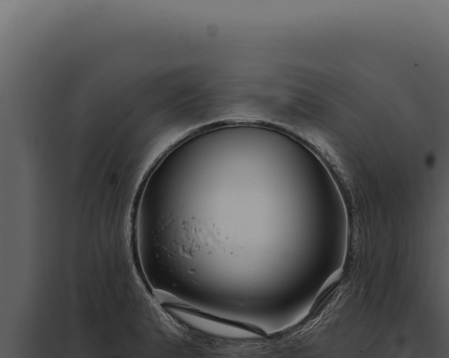 X0000097971183200804011713