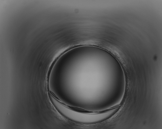 X0000097971184200804011713