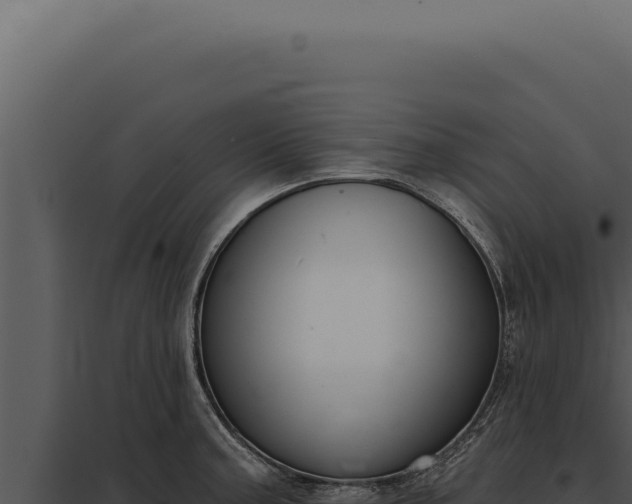 X0000097971187200804011713