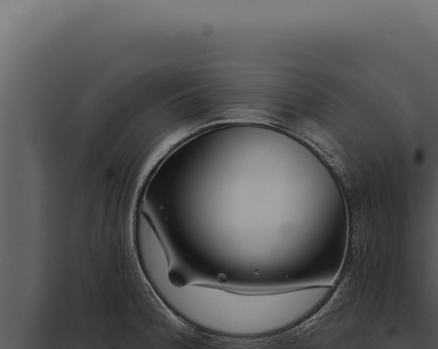 X0000097971188200804011713