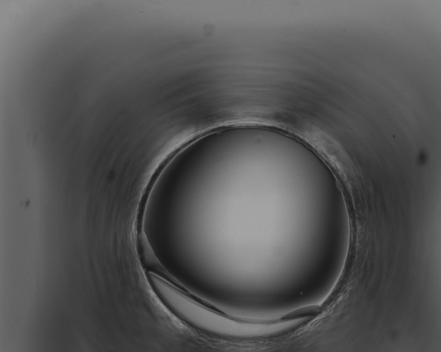 X0000097971189200804011713
