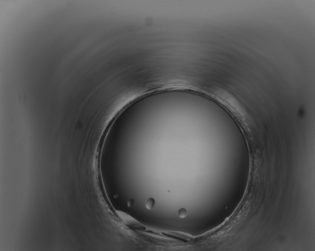 X0000097971190200804011713