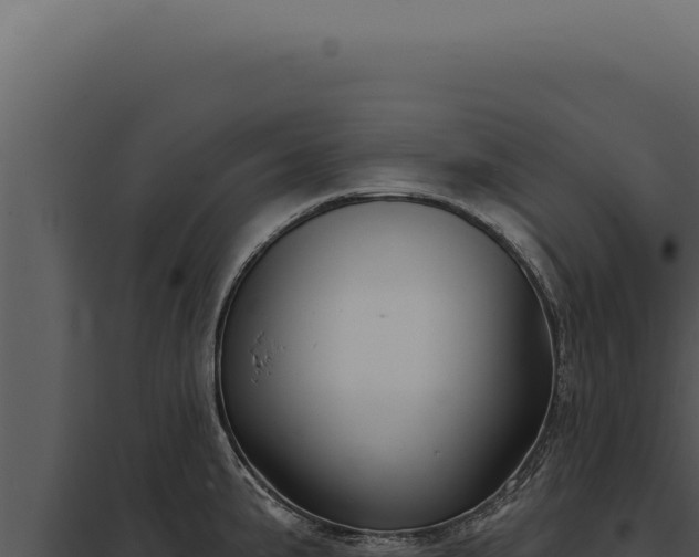 X0000097971191200804011713