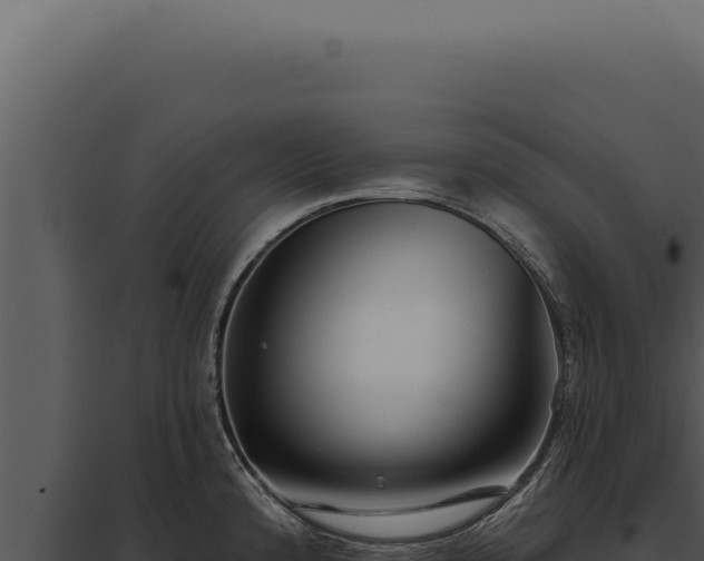 X0000097971192200804011713
