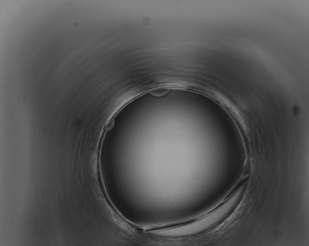 X0000097971194200804011713