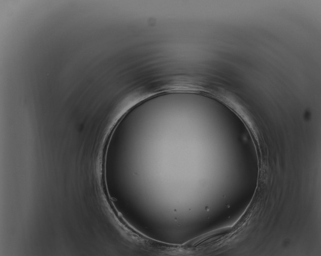 X0000097971195200804011713