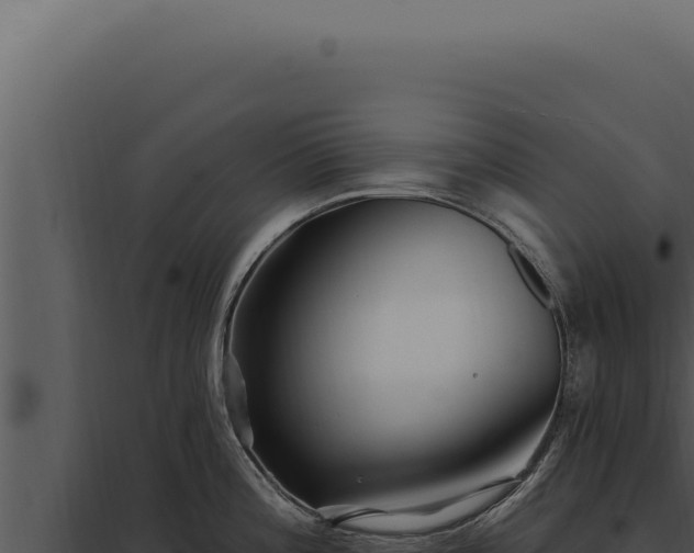 X0000097971196200804011713