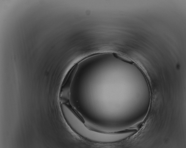X0000097971197200804011713