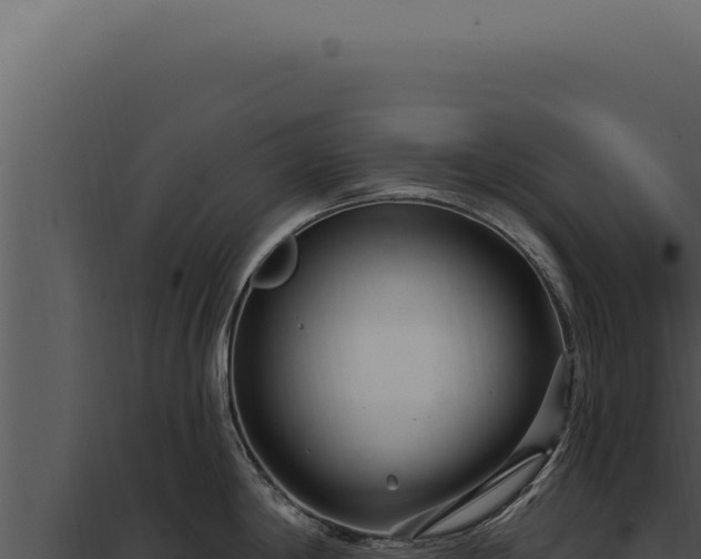 X0000097971198200804011713