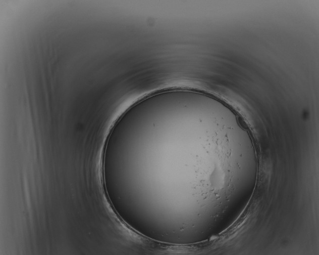 X0000097971199200804011713