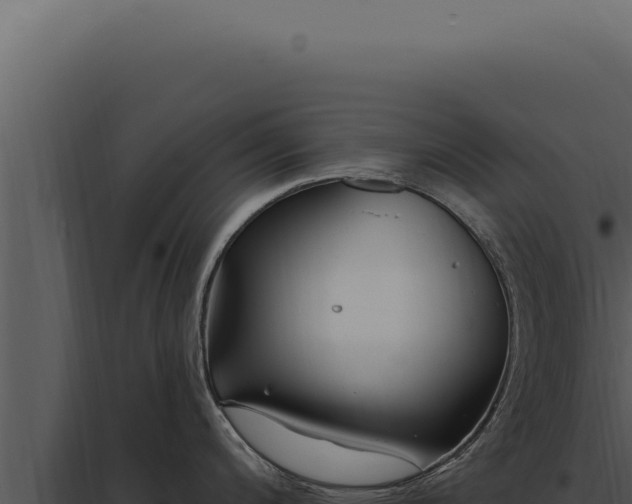 X0000097971200200804011713