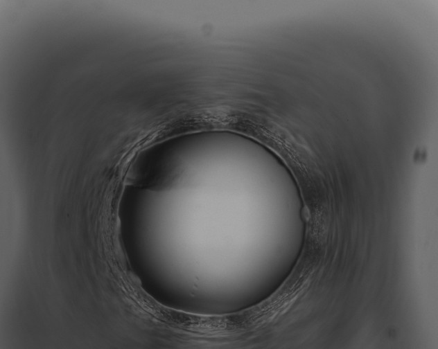 X0000097971201200804011712