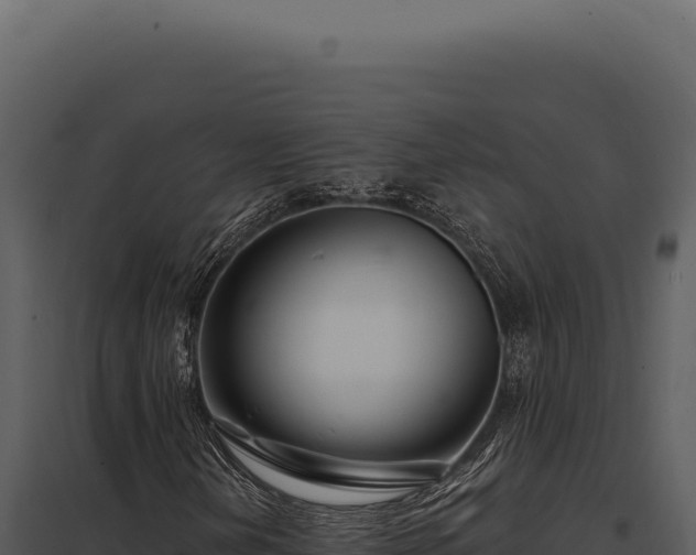 X0000097971202200804011712