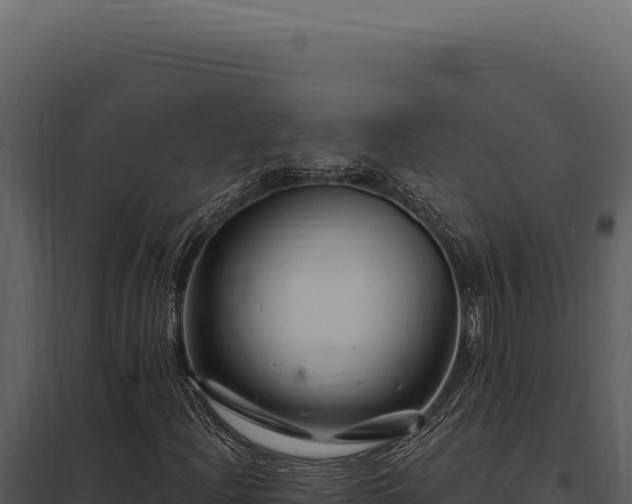 X0000097971204200804011712