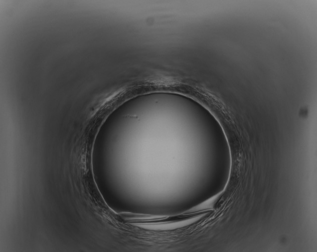 X0000097971205200804011712