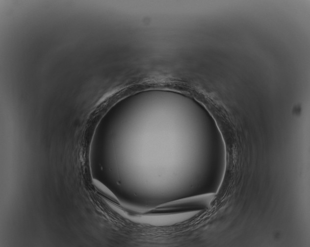 X0000097971206200804011712