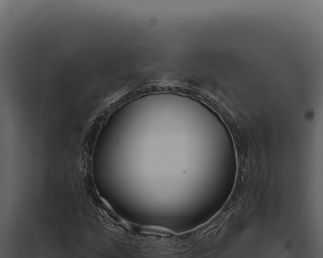 X0000097971207200804011712