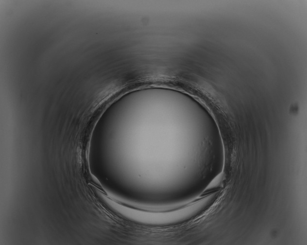 X0000097971209200804011712