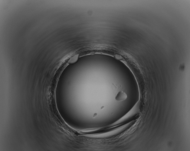 X0000097971210200804011712