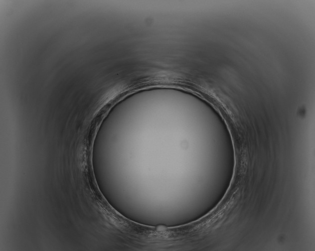 X0000097971211200804011712
